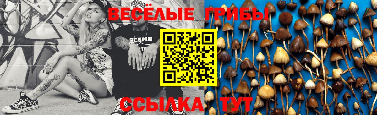 Псилоцибиновые грибы Psilocybine cubensis  Вход с VPN  Михайловск 